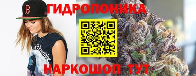 мяу мяу кристалл Гусь-Хрустальный