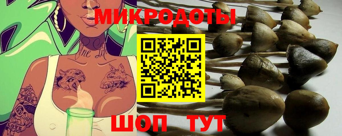 Галлюциногенные грибы GOLDEN TEACHER  даркнет сайт  Липецк  Вход с VPN  Псилоцибиновые грибы Psilocybine cubensis 