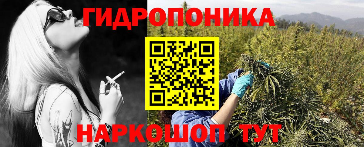 Шишки марихуана планчик  Бошки Шишки White Widow  Липецк  Вход с VPN 